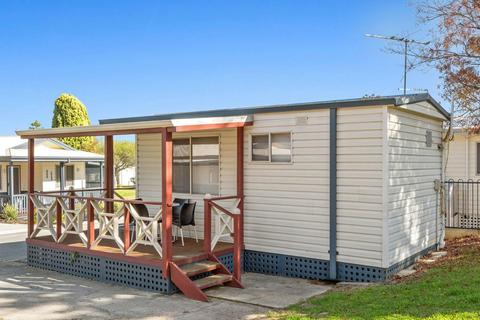 Standard Studio Cabin - Pet Friendly