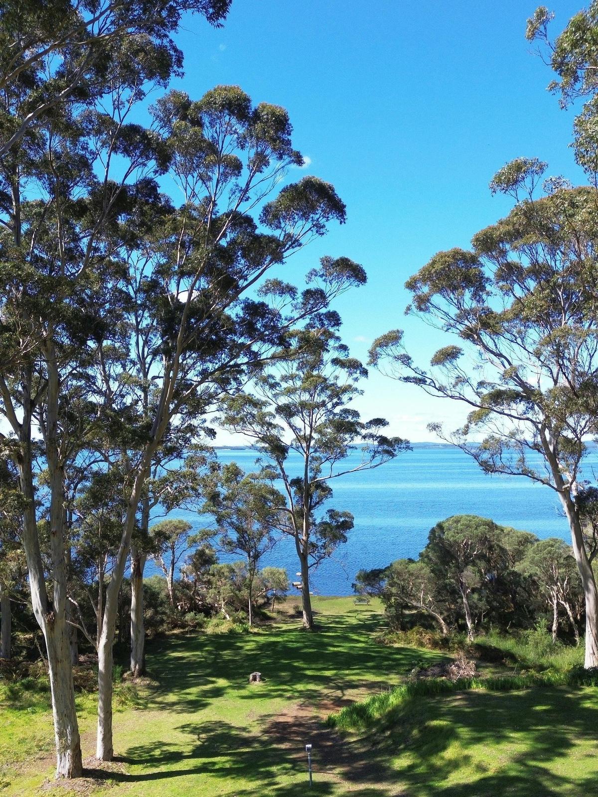 Scenic view of the Waterfront Property.
