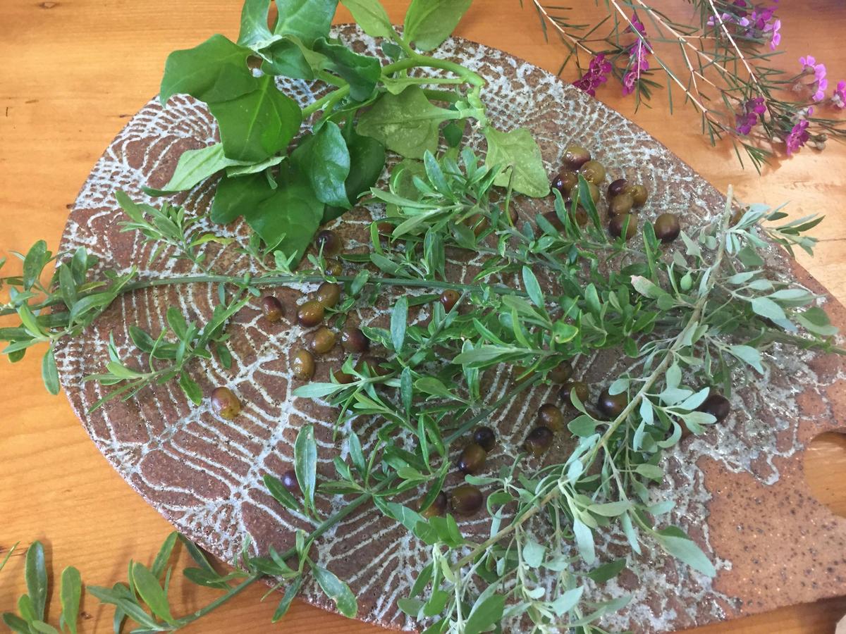 Edible bushfood leaves and fruit