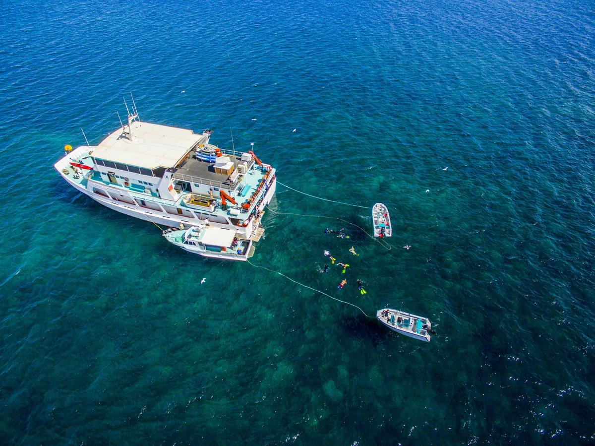 Abrolhos Islands 5 Day Cruise