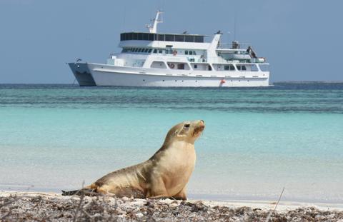 Abrolhos Islands 5 Day Cruise