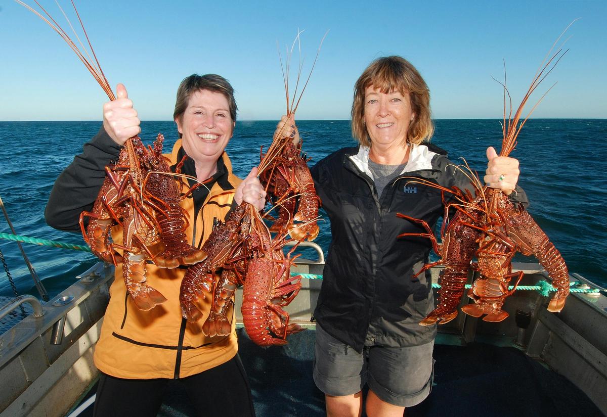 Join a Geraldton Pot Pull & take home a share of the catch