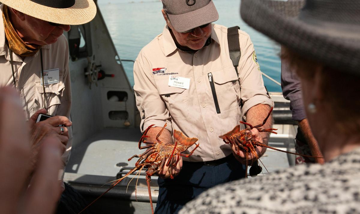 Abrolhos Islands and the Coral Coast Broome - 12 Nights