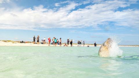 Abrolhos Islands and the Coral Coast Broome - 12 Nights
