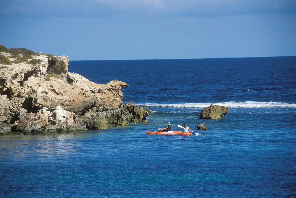 Dynamite Bay, Green Head