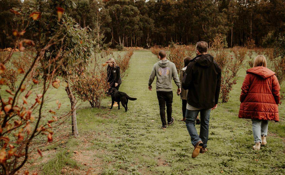 Truffle Hunt and tastings