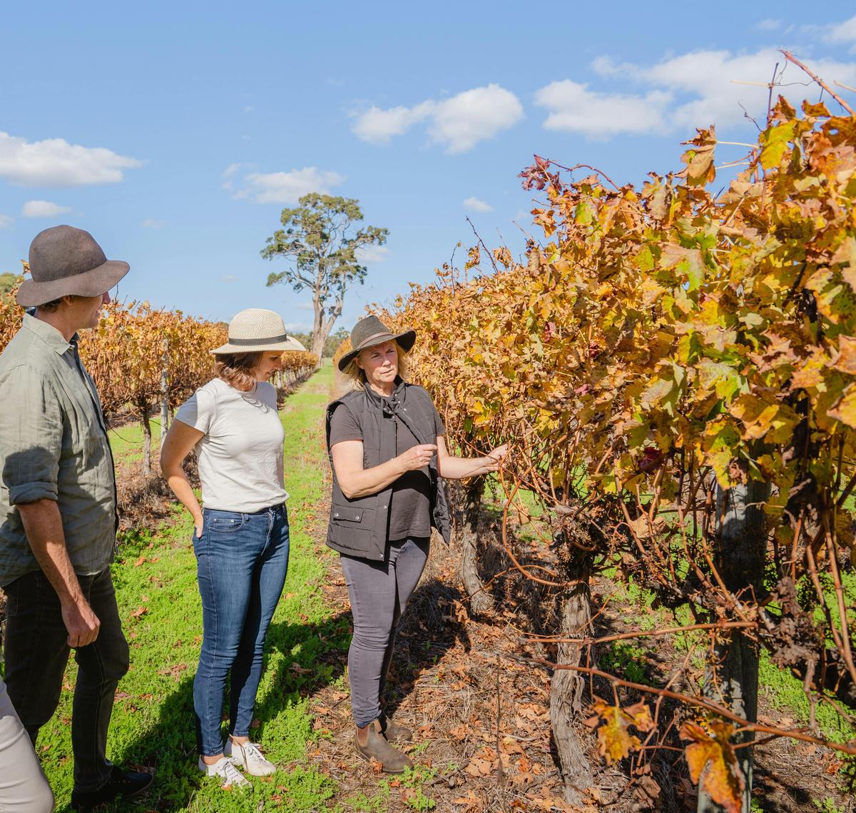Margaret River Wine and Dine