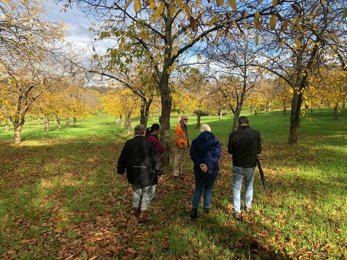Full Day Tour - South West Trail