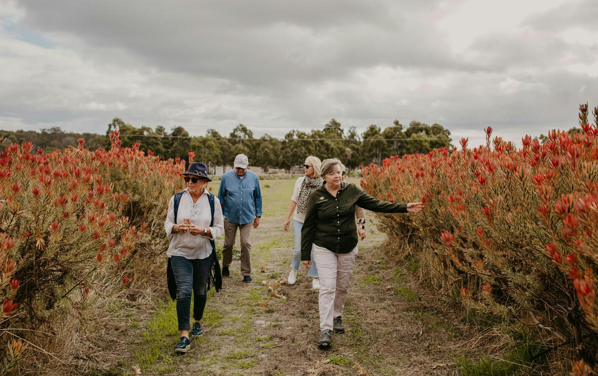 Half Day Tour - Backroads Trail