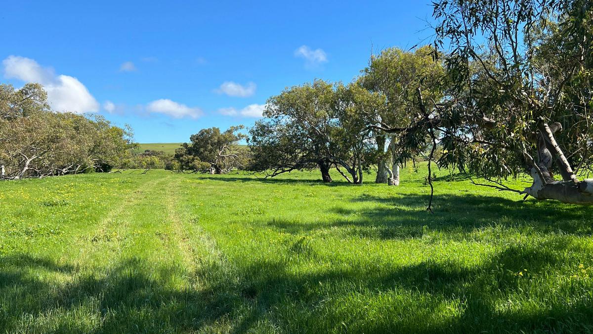 Cutubury Farm