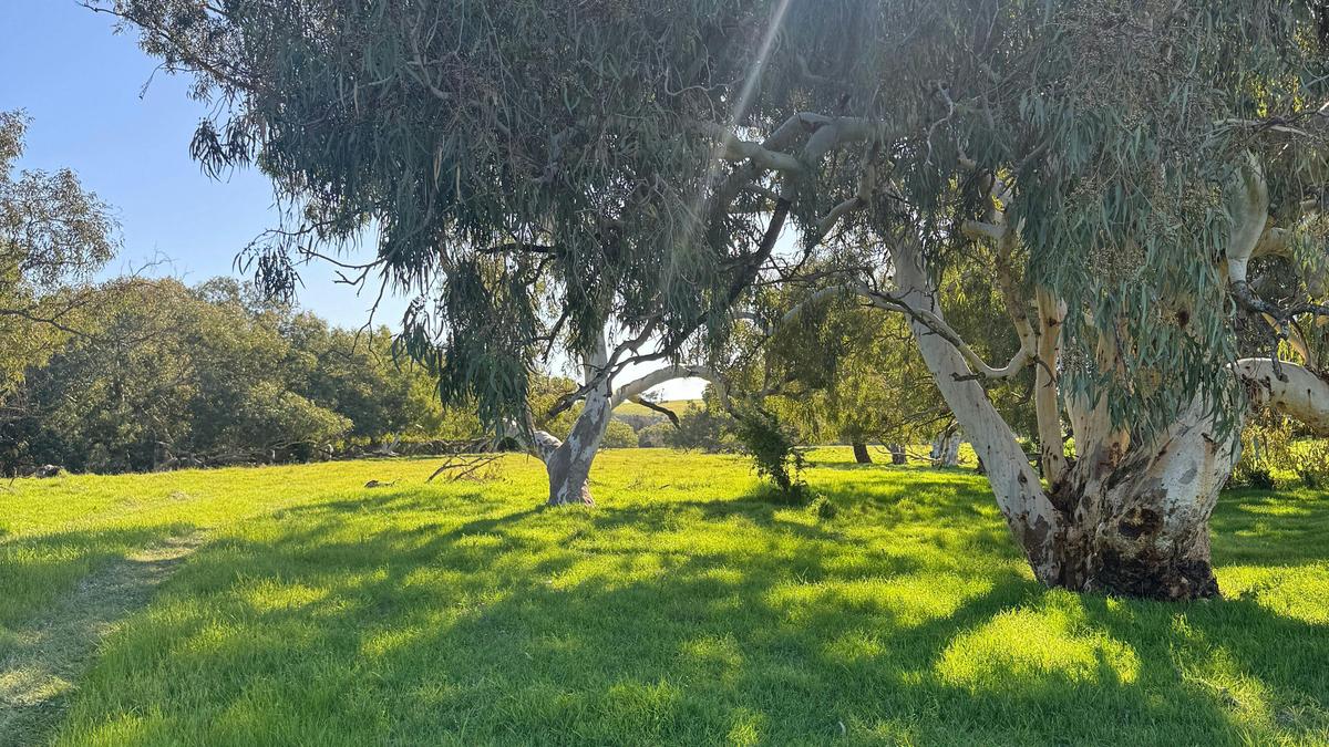 Cutubury Farm