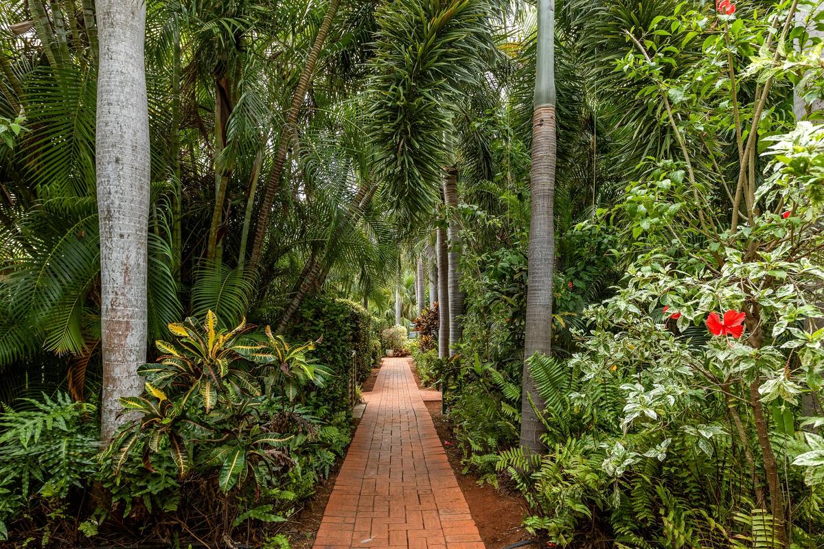 Lush Gardens