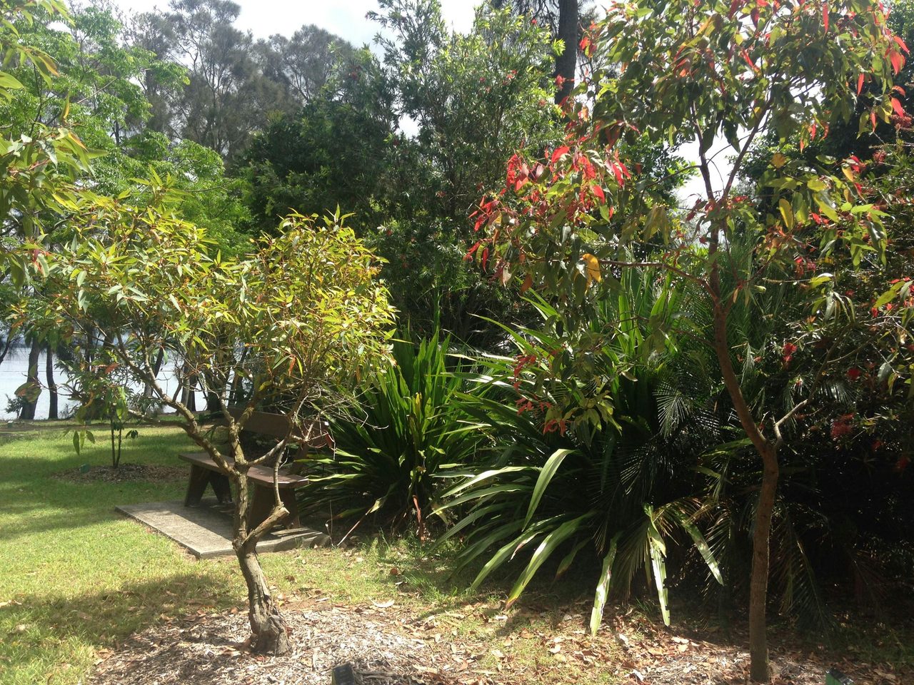 Sensory Gardens