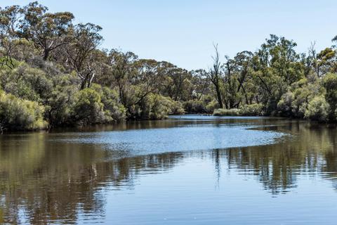 Dale River Reserve Trail