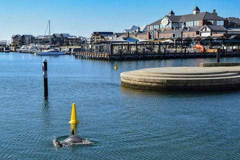 Dolphin Quay