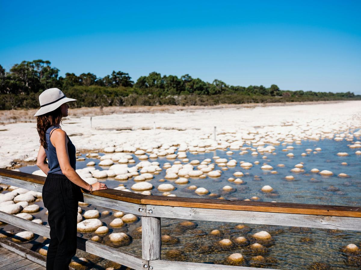 Lake Clifton Thrombolites
