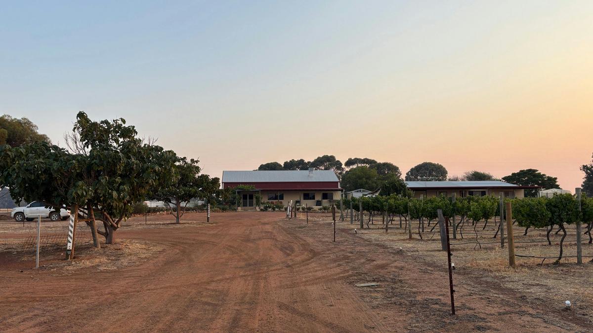 Downderry Estate Farmstay
