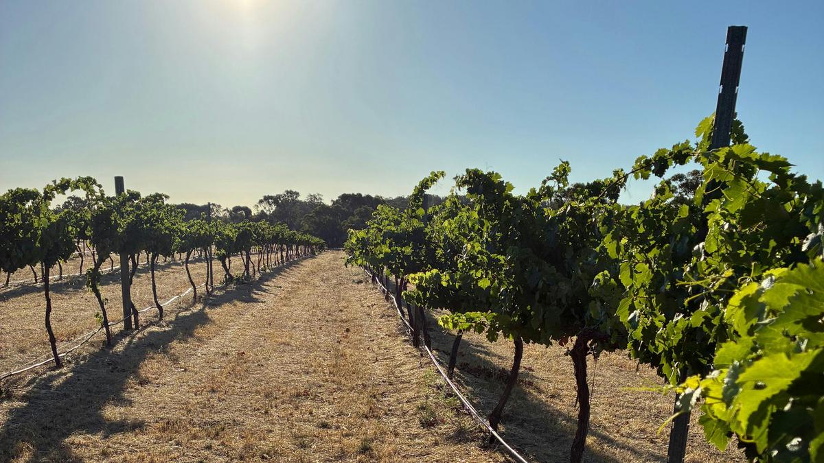 Downderry Estate Farmstay