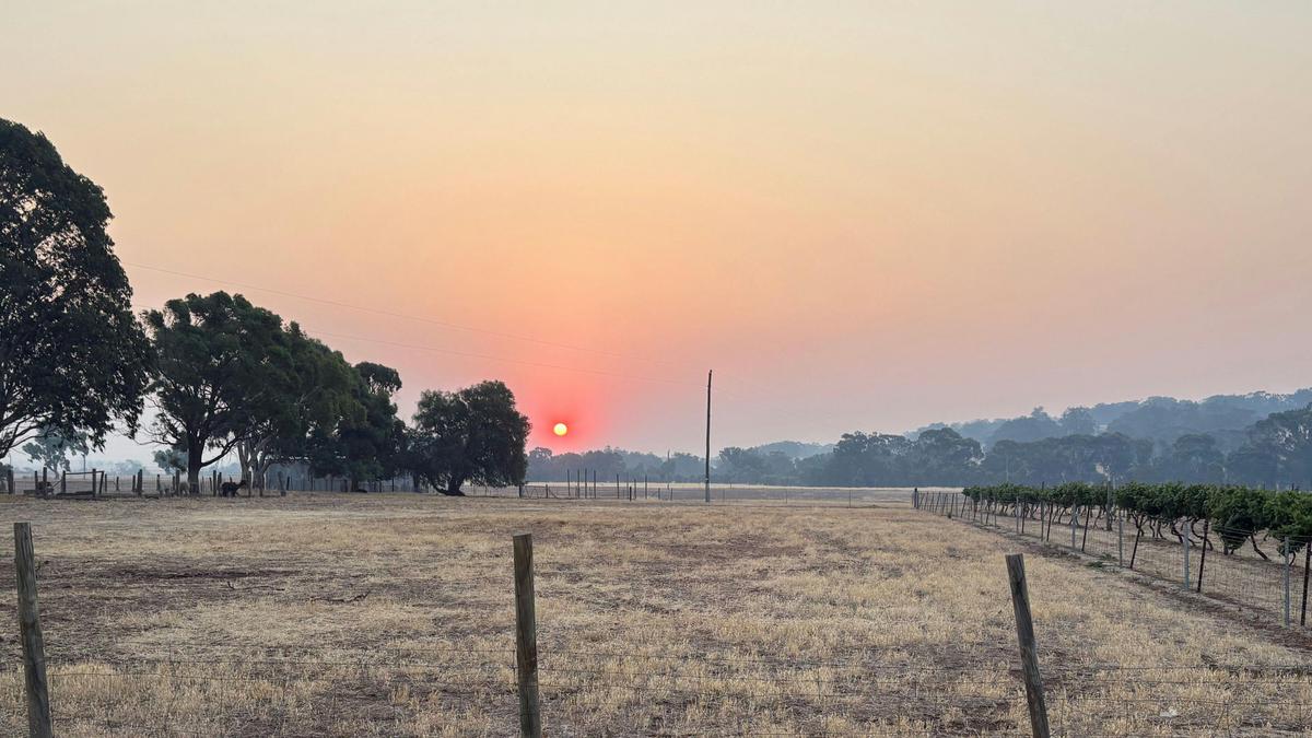 Downderry Estate Farmstay