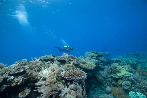 Dive and Snorkel the Muiron Islands