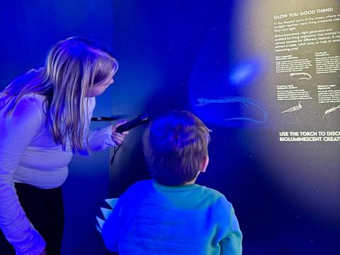 Discovery Express Tour