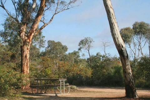 Campsite