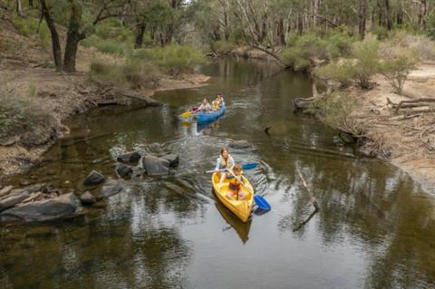 Paddle 'n' Picnic