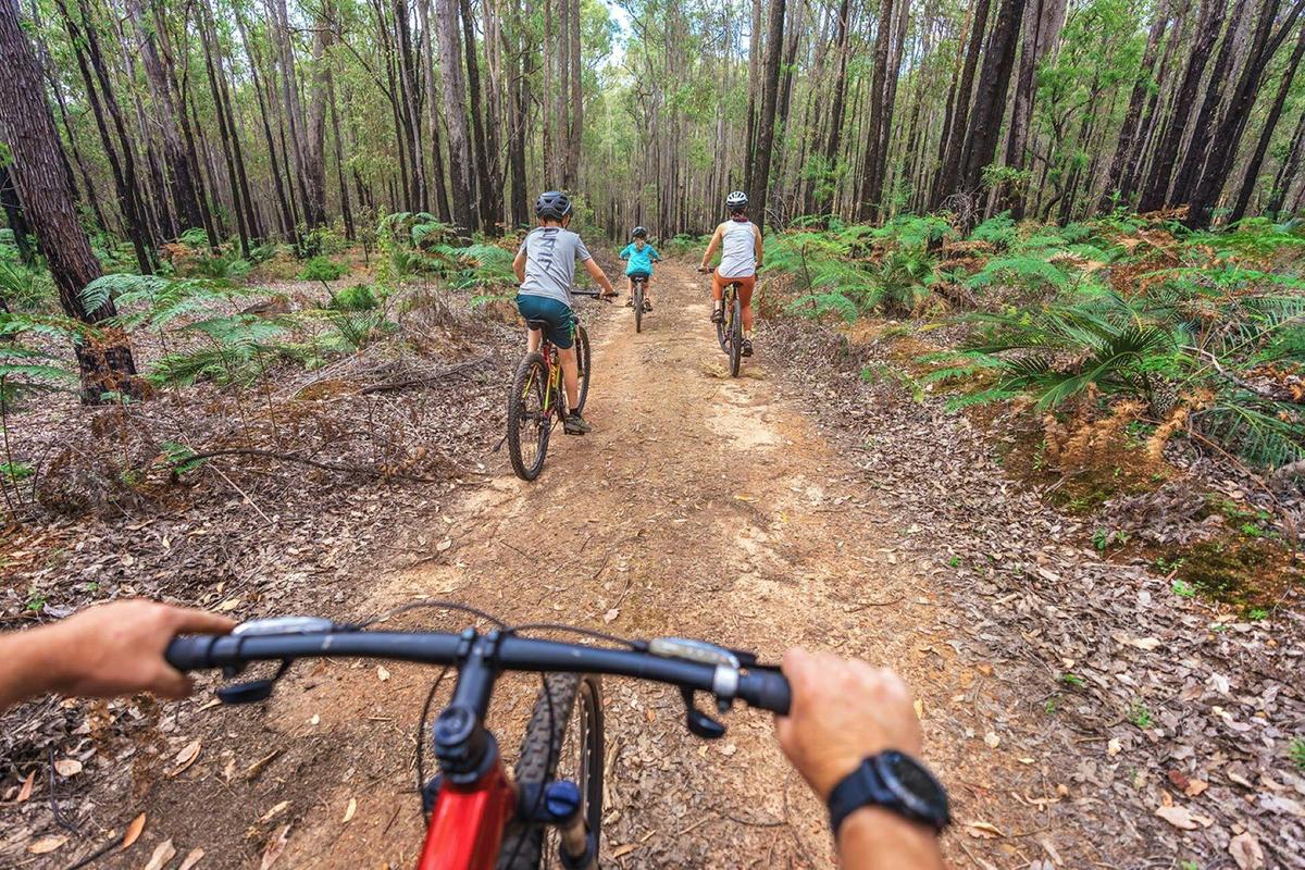 Munda Biddi Mountain Bike Explorer