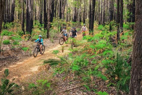 Munda Biddi Mountain Bike Explorer