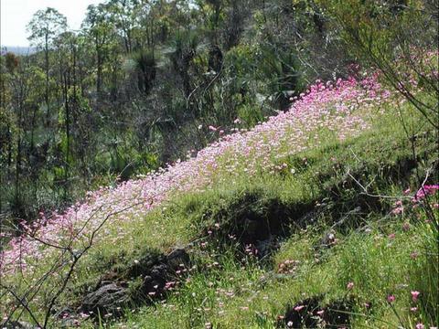 Ellis Brook Valley Reserve