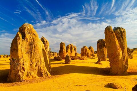 1 Day Pinnacles Tour