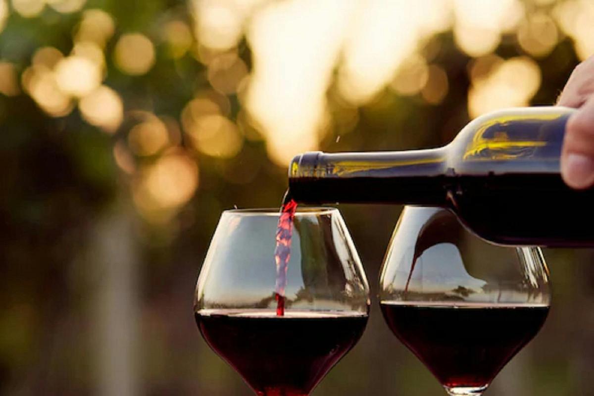 Half Day Swan Valley Tour