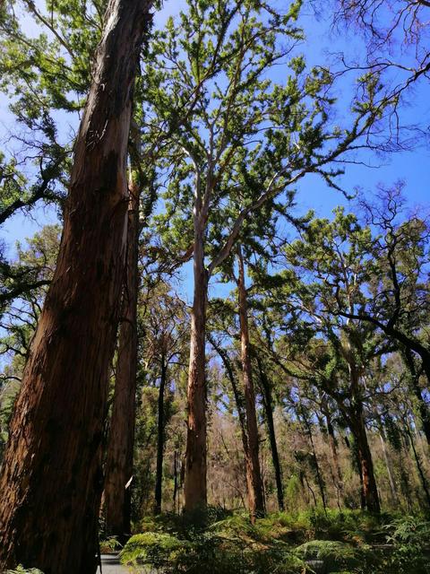 1 Day Margret River Tour