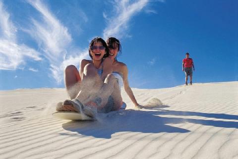 1 Day Pinnacles Tour