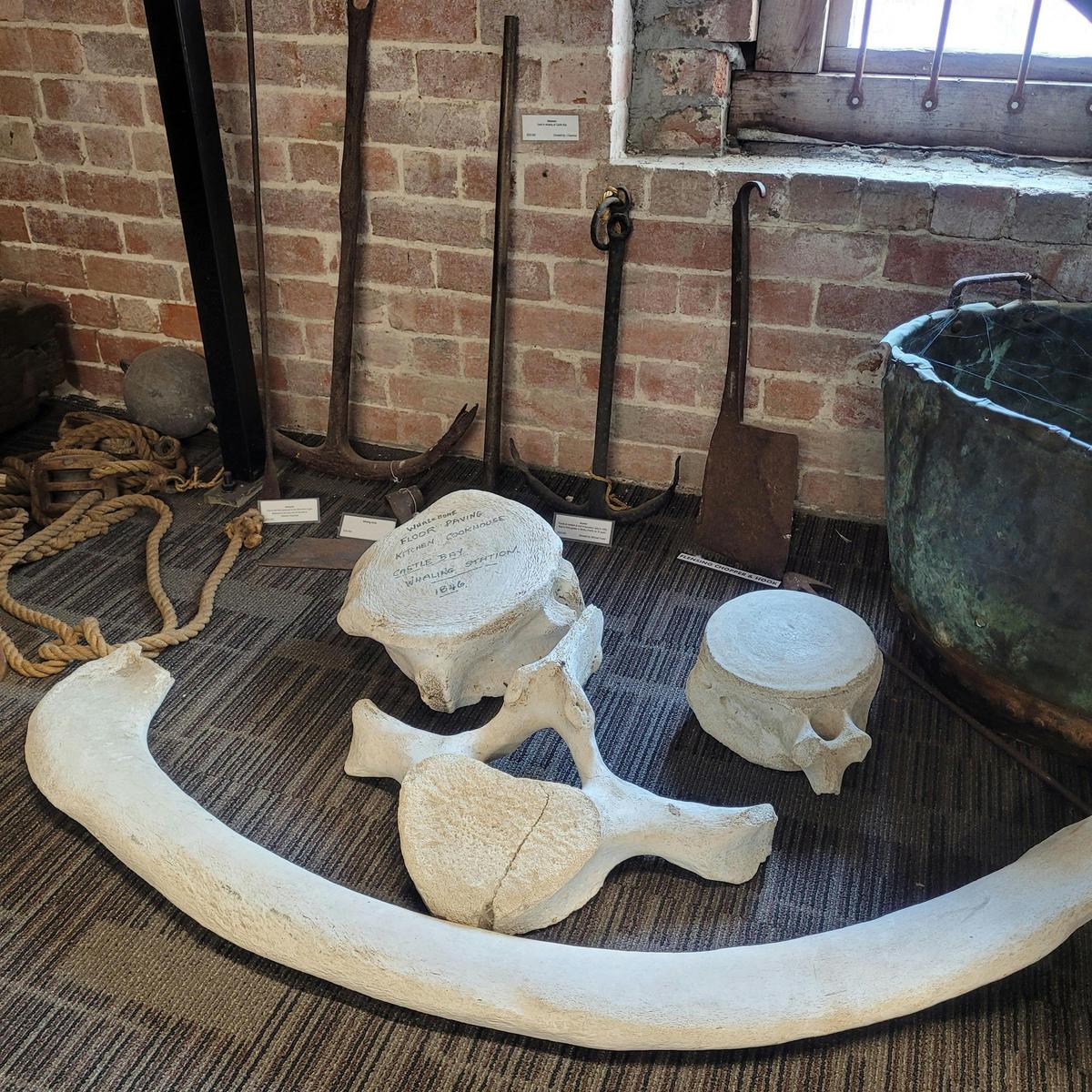 Marine Room