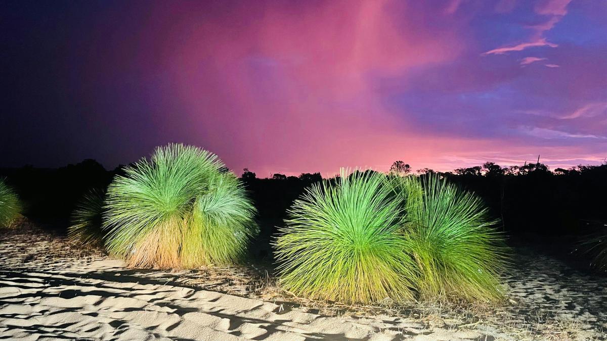 Caladenia Getaways