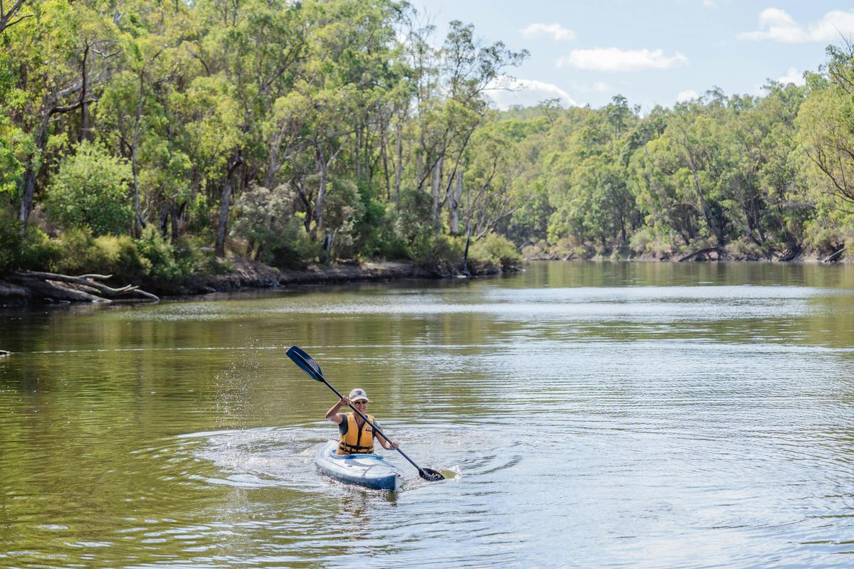 Paddle Trails along the Murray River in Dwellingup