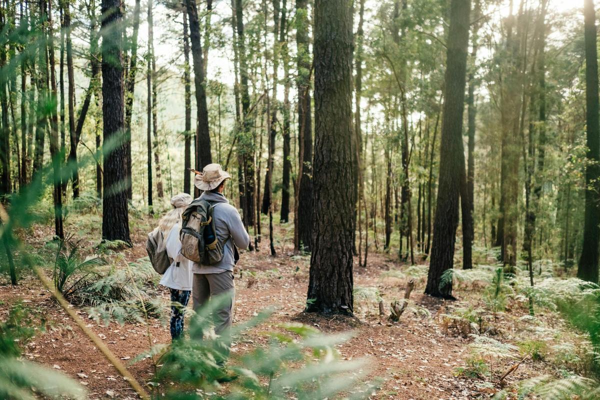 Hiking and bush walking trails in Dwellingup Adventure Trails network