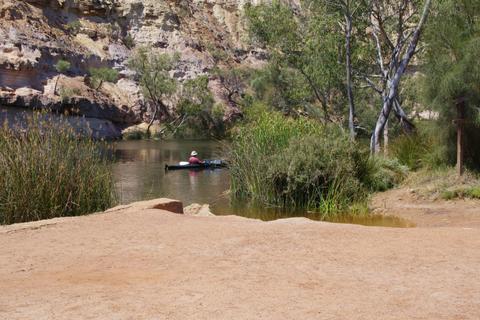 Ellendale Pool