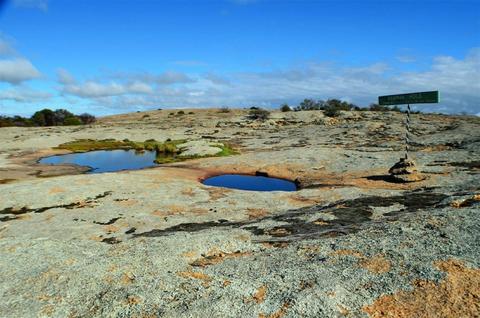 Dingo Rock
