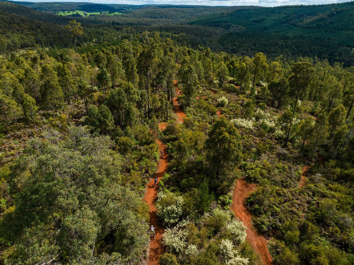 Over 125km of purpose build mountain bike trails in Dwellingup, Western Australia