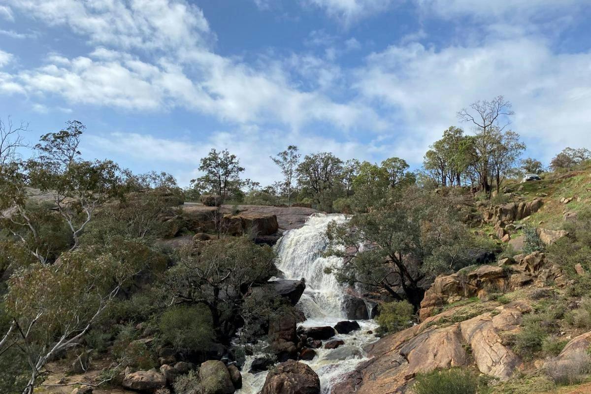 Eagle's View Walk, John Forrest National Park, Hovea, Western Australia