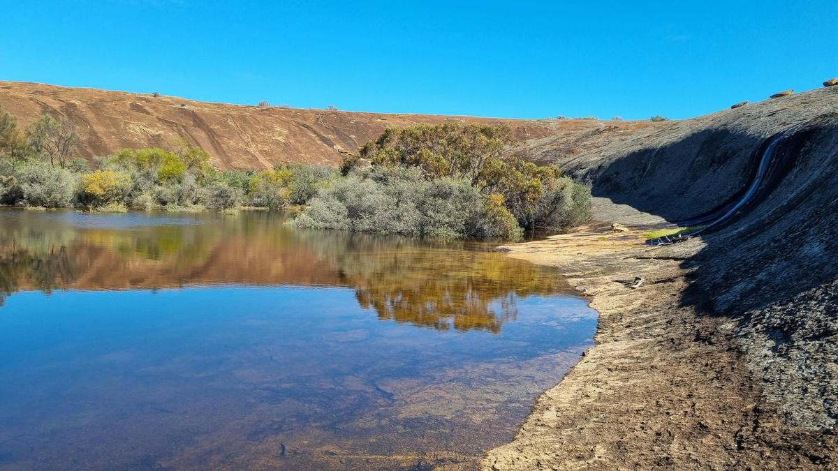 Frog Rock Nature Reserve