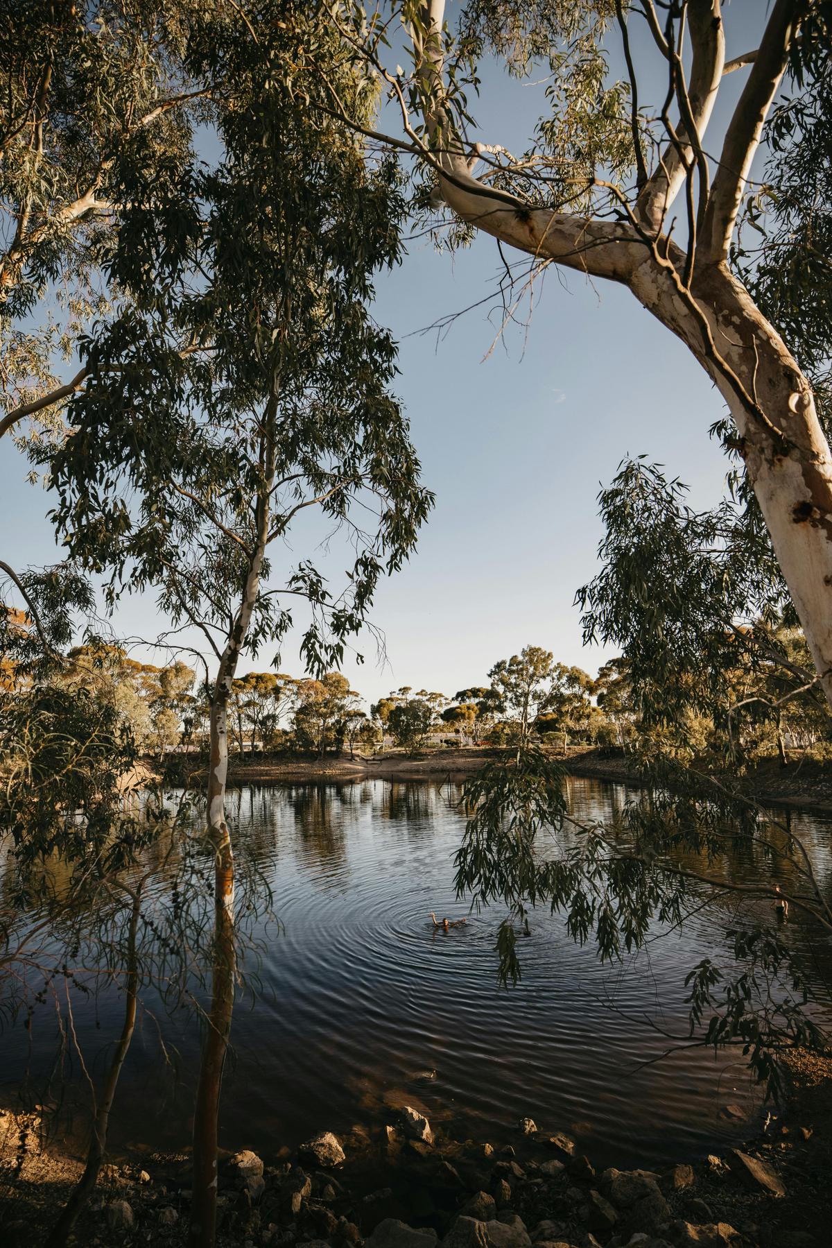 Merredin Peak Reserve & Railway Dam