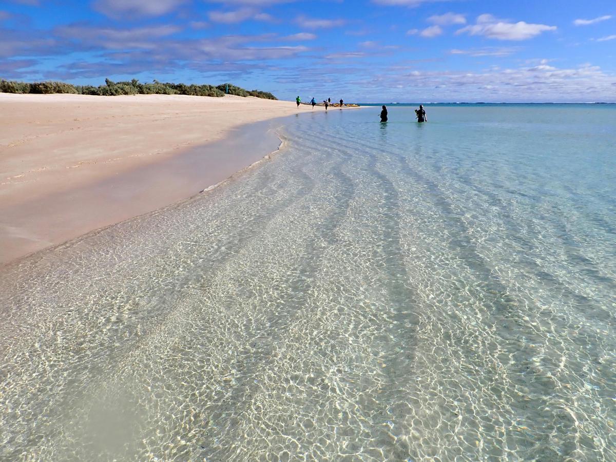 Lagoon Explorer - Full Day Sea Kayak and Snorkel Tour