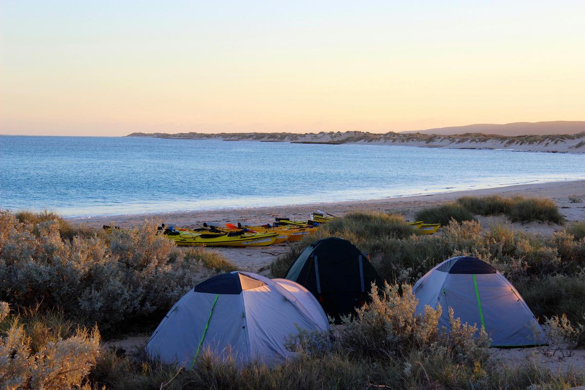 3-Day Reef and Beach Tour