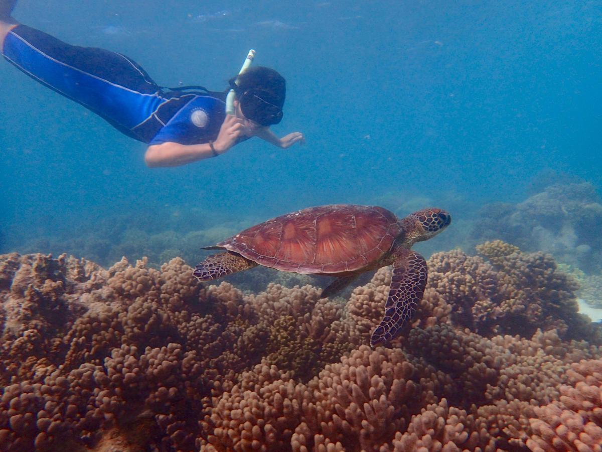 3-Day Reef and Beach Tour