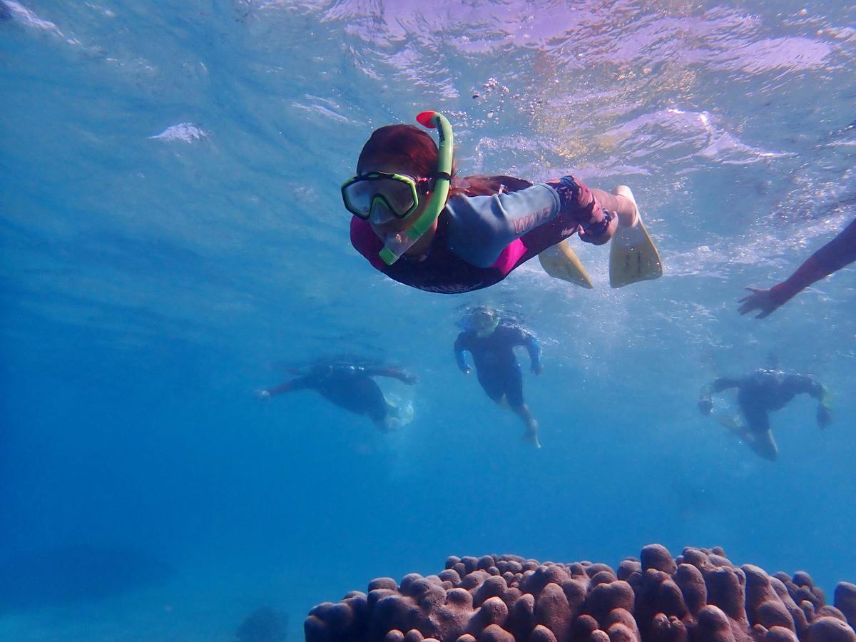 Coral By Kayak