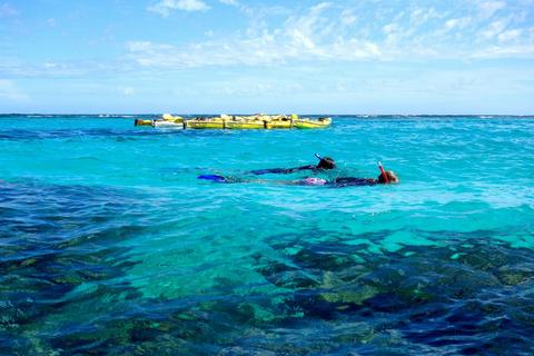 3-Day Reef and Beach Tour