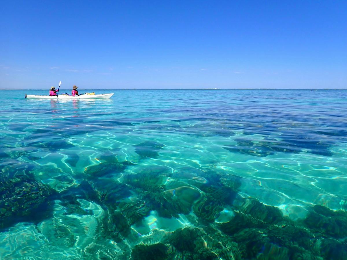 Lagoon Explorer - Full Day Sea Kayak and Snorkel Tour
